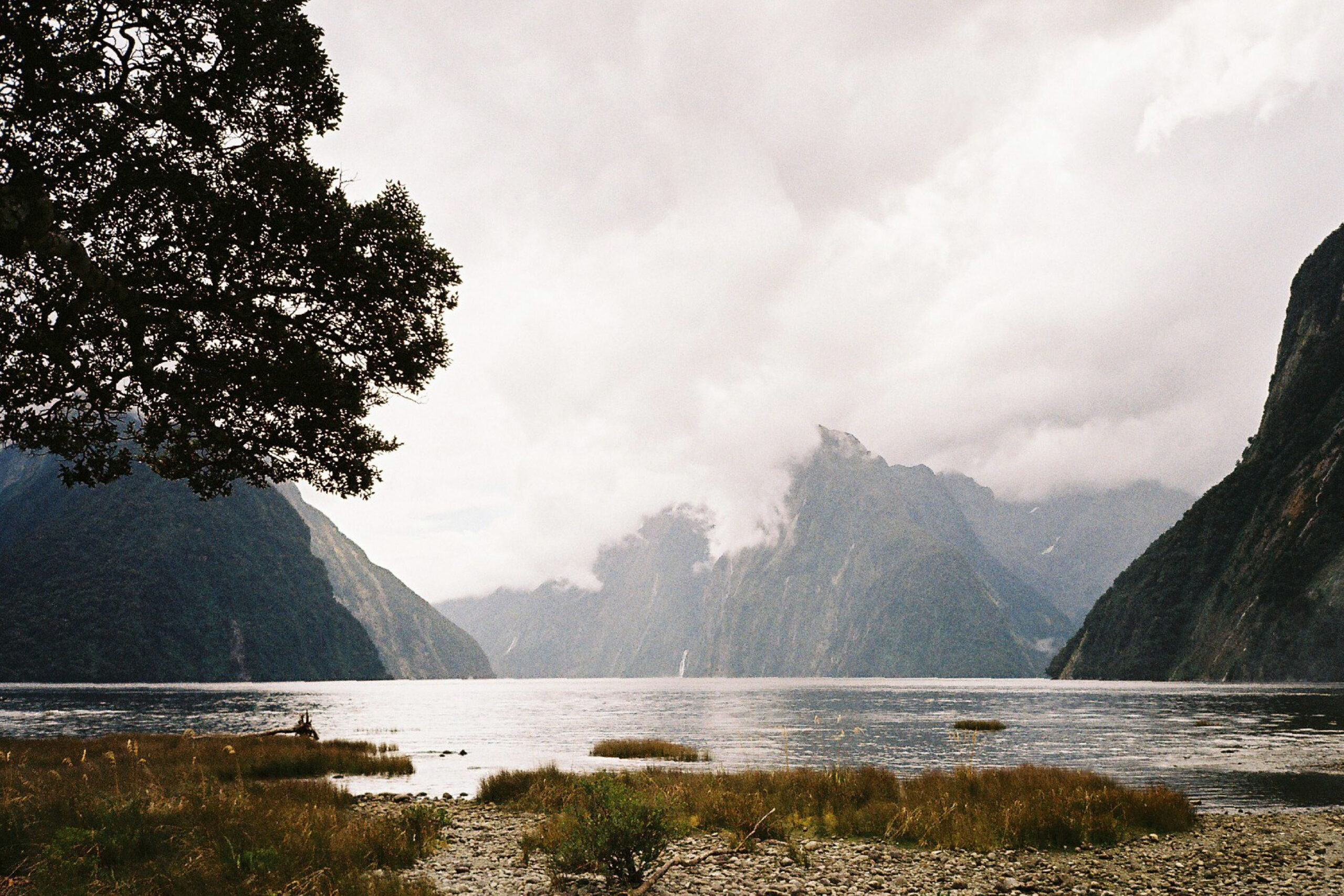 35millward_photography [Recovered]