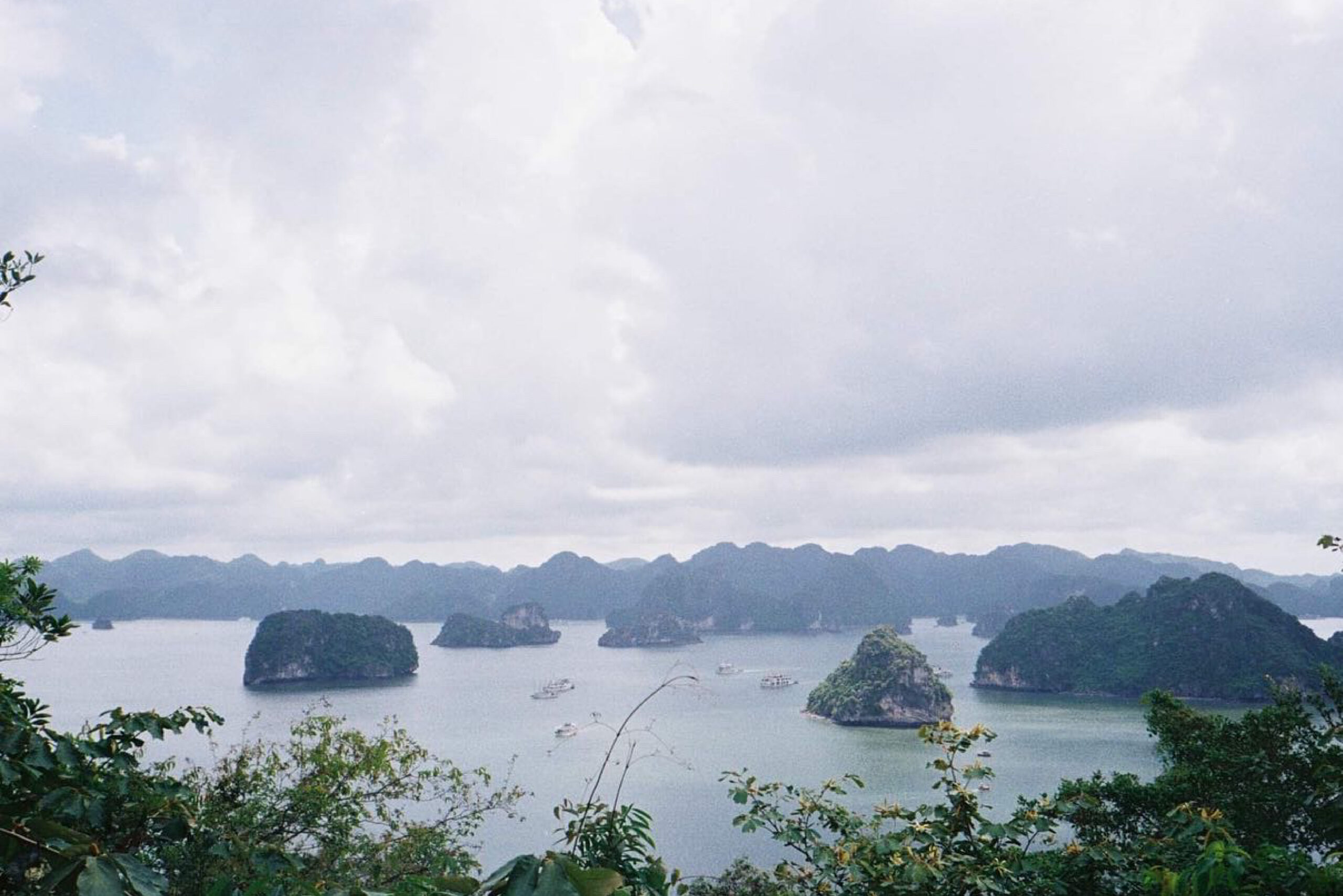 35millward_photography [Recovered]-172
