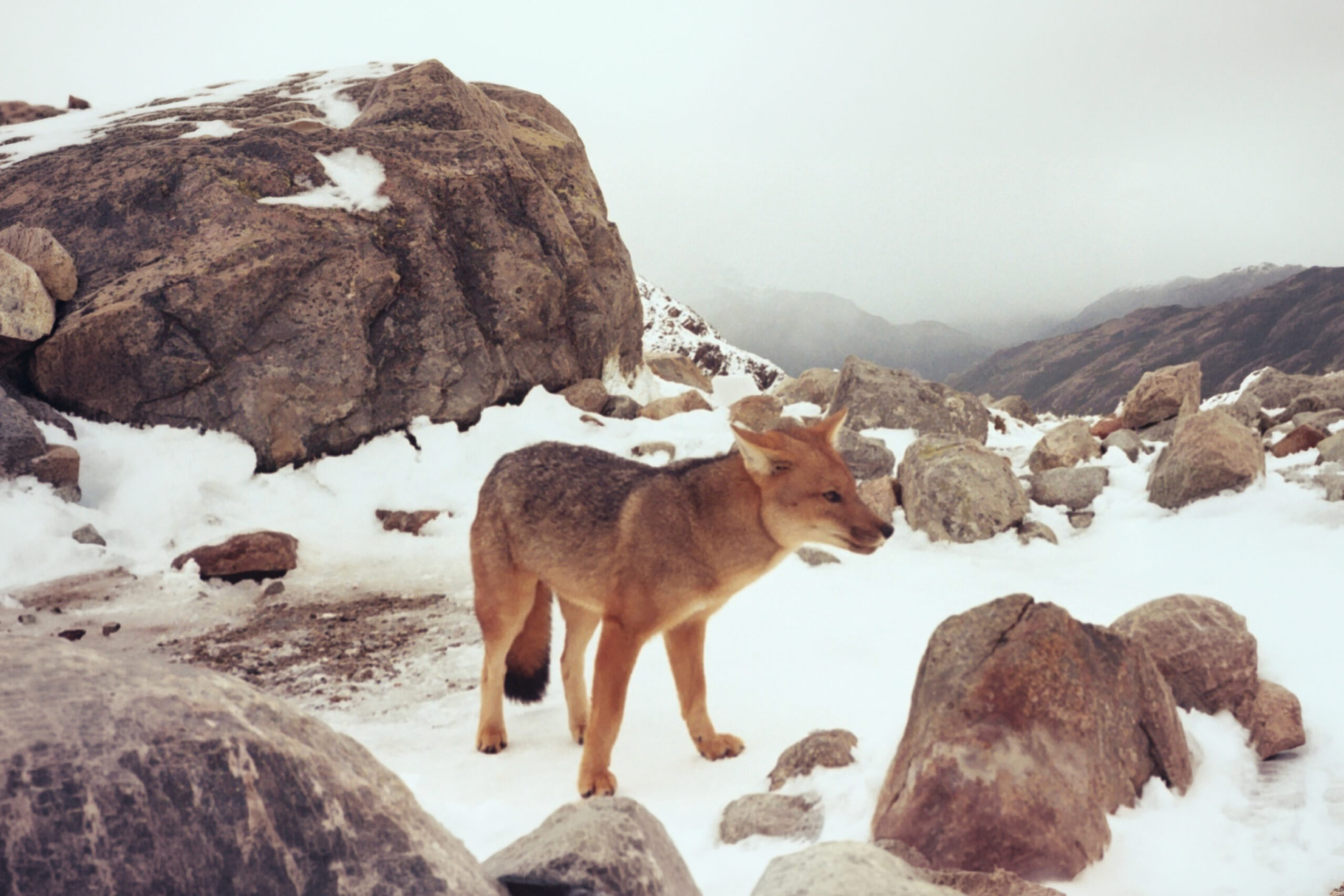 35millward_photography [Recovered]-08