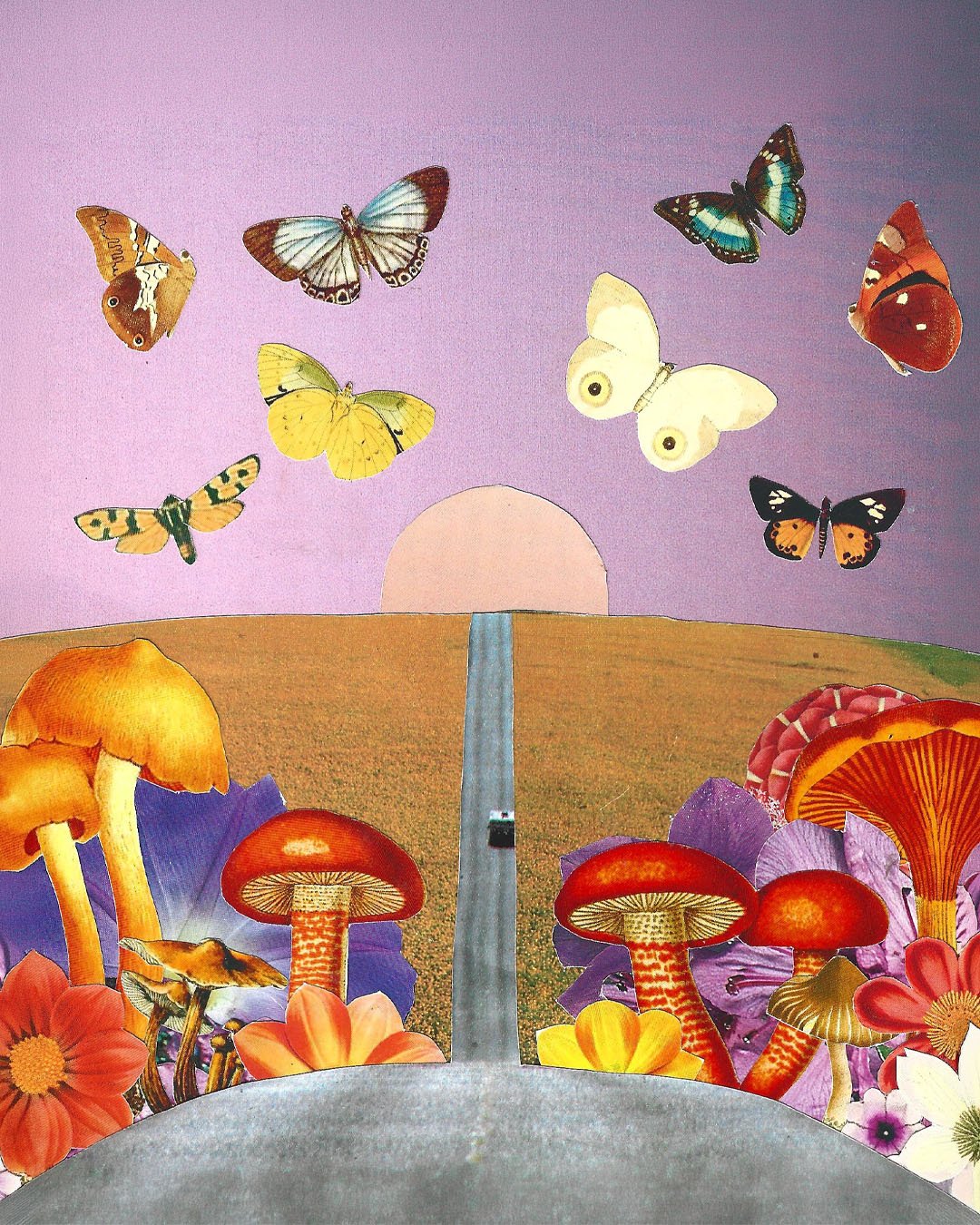 Collage-04
