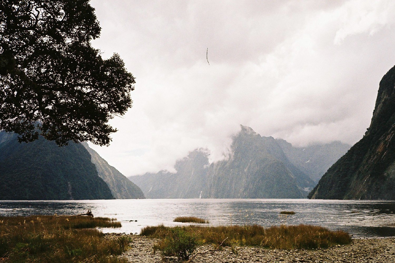 35millward_photography [Recovered]-100