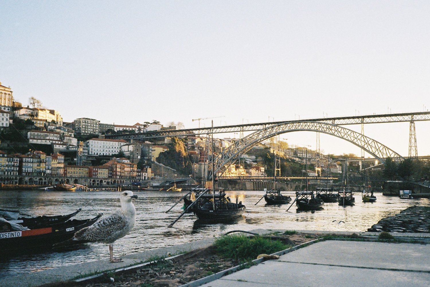 35millward_photography [Recovered]-125