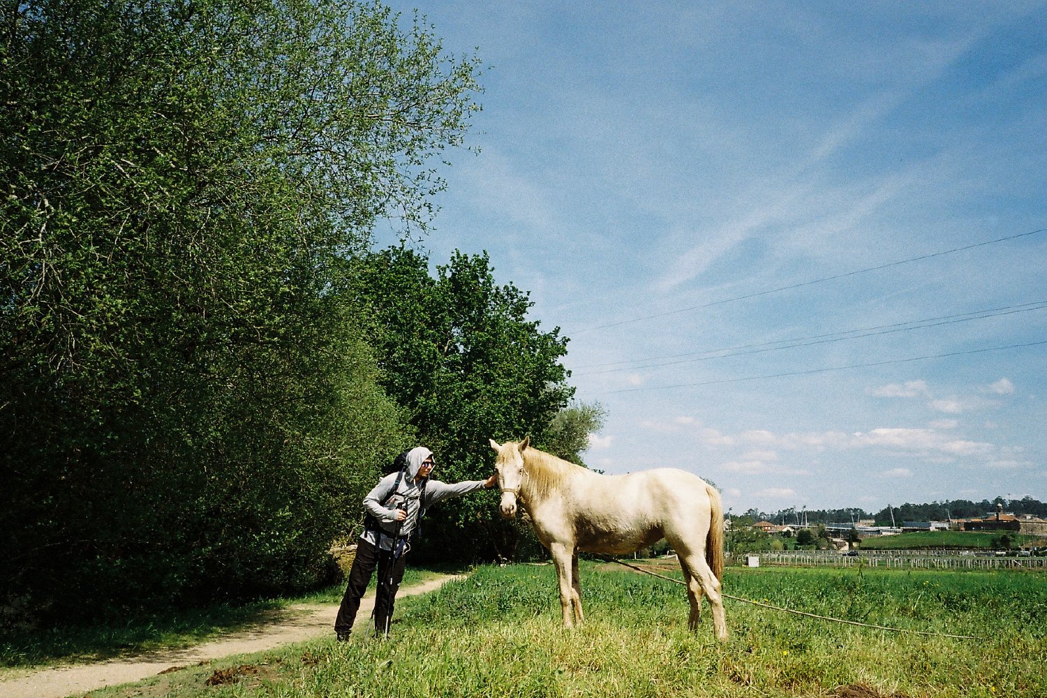 35millward_photography [Recovered]-159