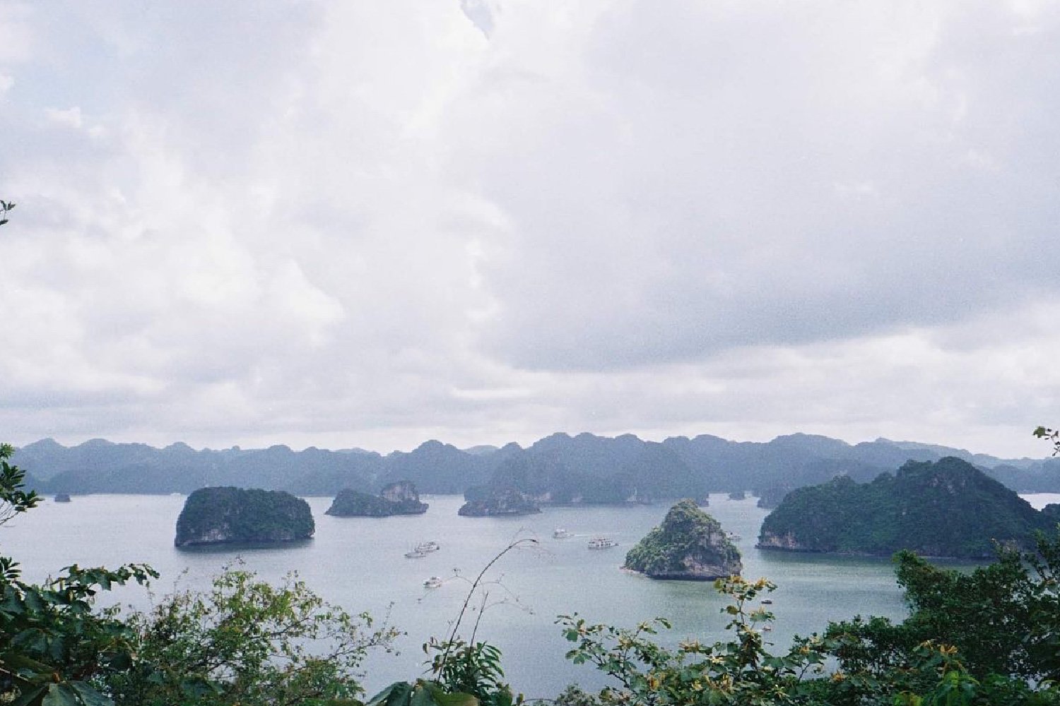 35millward_photography [Recovered]-172