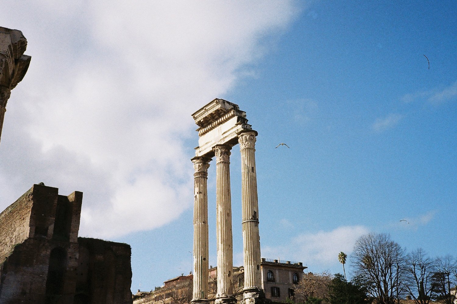 35millward_photography [Recovered]-179