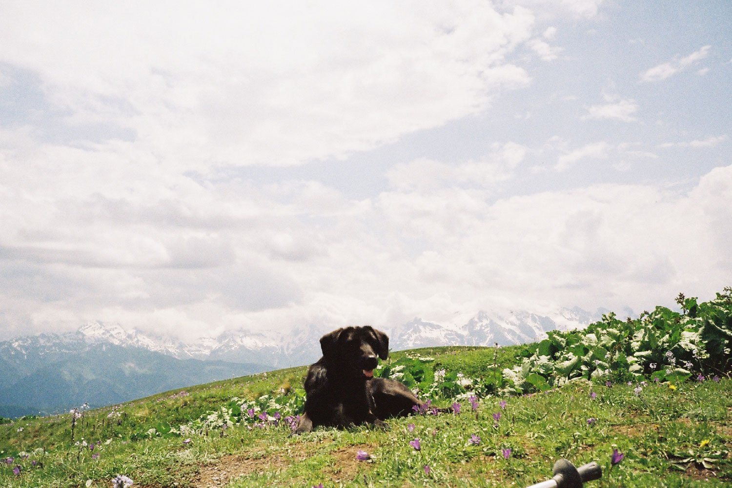 35millward_photography [Recovered]-244