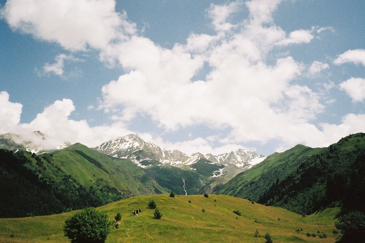 35millward_photography [Recovered]-253
