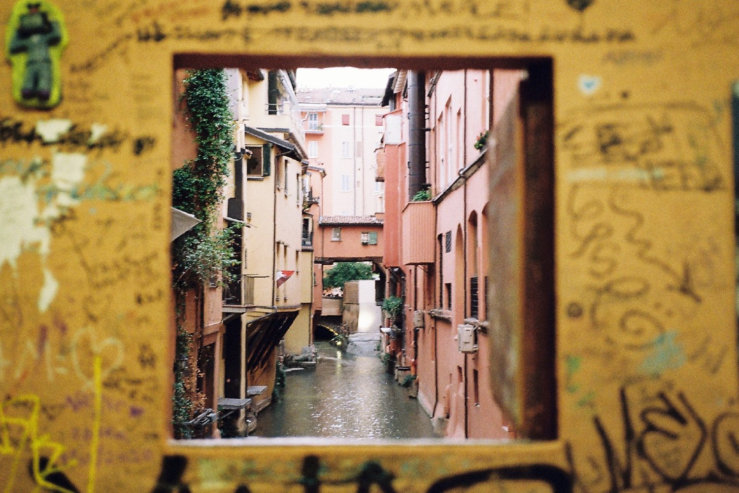 35millward_photography [Recovered]-269